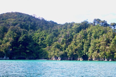 picture of Abel Tasman National Park
 NewZealand
