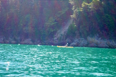picture of Abel Tasman National Park
 NewZealand
