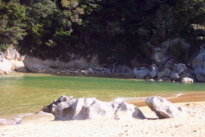 picture of Abel Tasman National Park
 NewZealand