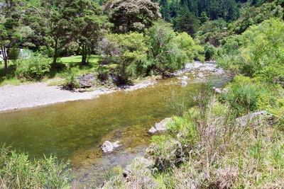 picture of Nelson
 NewZealand