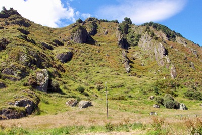 picture of Nelson
 NewZealand