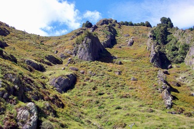 picture of Nelson
 NewZealand