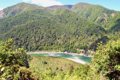 picture of Nelson
 NewZealand