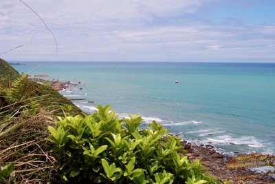 picture of Nelson to the Pancake rocks
 NewZealand