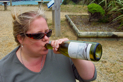 picture of Nelson to the Pancake rocks
 NewZealand