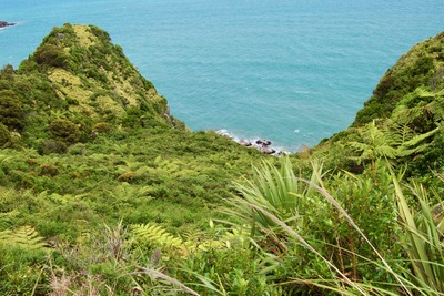 picture of Nelson to the Pancake rocks
 NewZealand