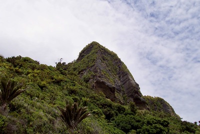 picture of Nelson to the Pancake rocks
 NewZealand