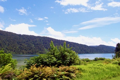 picture of Fox Glacier to Wanaka
 NewZealand