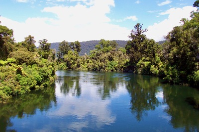 picture of Fox Glacier to Wanaka
 NewZealand