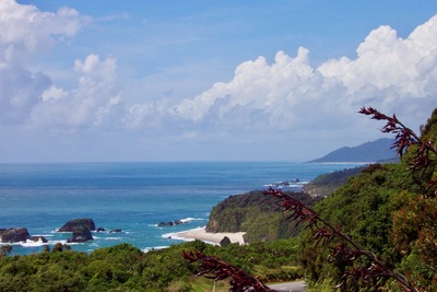 picture of Fox Glacier to Wanaka
 NewZealand
