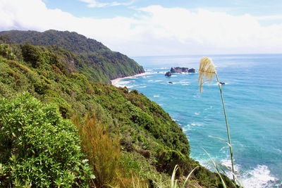 picture of Fox Glacier to Wanaka
 NewZealand