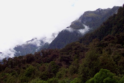 picture of Fox Glacier to Wanaka
 NewZealand