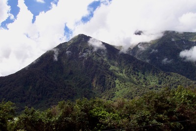 picture of Fox Glacier to Wanaka
 NewZealand