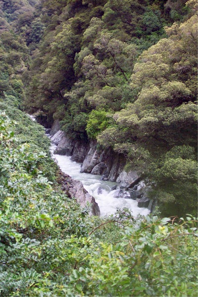 picture of Fox Glacier to Wanaka
 NewZealand