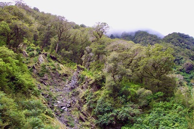 picture of Fox Glacier to Wanaka
 NewZealand