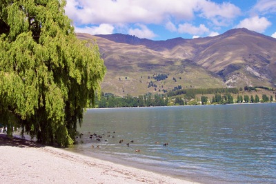 picture of Wanaka
 NewZealand