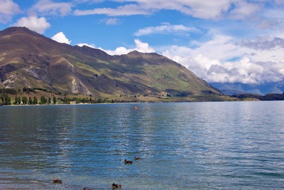 picture of Wanaka
 NewZealand