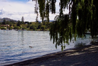 picture of Wanaka
 NewZealand