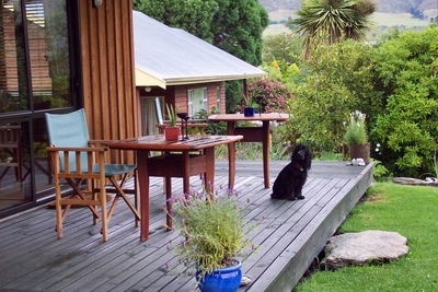 picture of Wanaka
 NewZealand