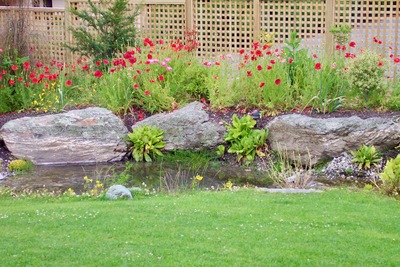 picture of Wanaka
 NewZealand