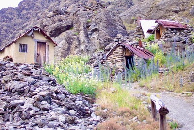 picture of Dart River
 NewZealand