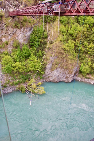 picture of Dart River
 NewZealand