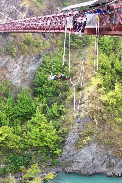 picture of Dart River
 NewZealand