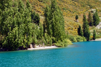 picture of Queenstown
 NewZealand