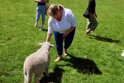 picture of Queenstown
 NewZealand
