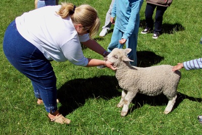 picture of Queenstown
 NewZealand