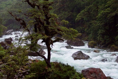 picture of Milford Sound
 NewZealand