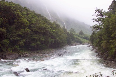 picture of Milford Sound
 NewZealand