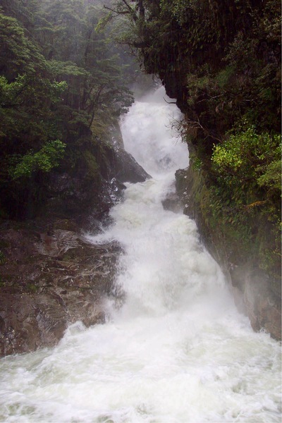 picture of Milford Sound
 NewZealand