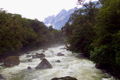 picture of Milford Sound
 NewZealand