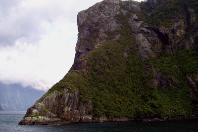 picture of Milford Sound
 NewZealand