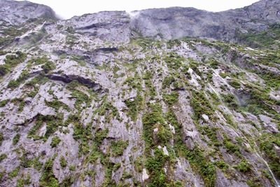 picture of Milford Sound
 NewZealand
