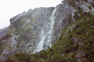 picture of Milford Sound
 NewZealand