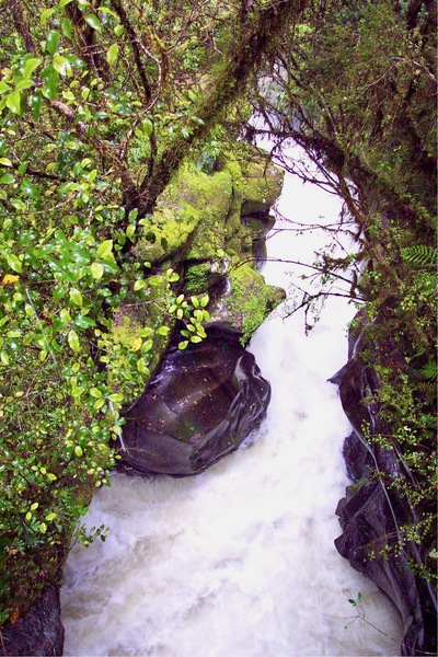 picture of Lake Gunn
 NewZealand