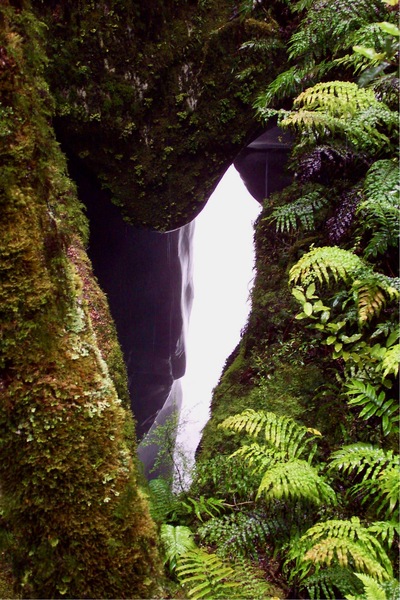 picture of Lake Gunn
 NewZealand