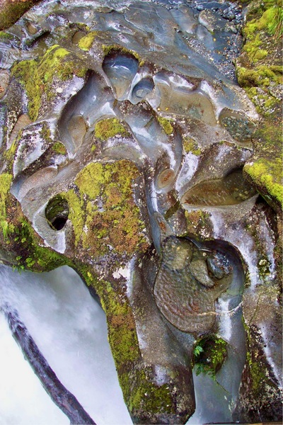 picture of Lake Gunn
 NewZealand