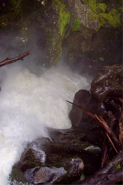 picture of Lake Gunn
 NewZealand