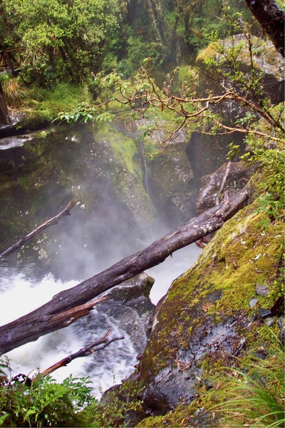 picture of Lake Gunn
 NewZealand