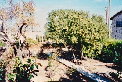 picture of Kyrenia
 NorthernCyprus