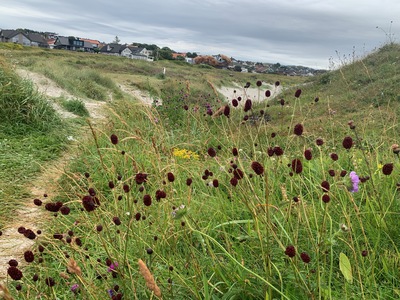 picture of Haugesund
 Norway