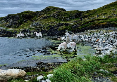 picture of Haugesund
 Norway