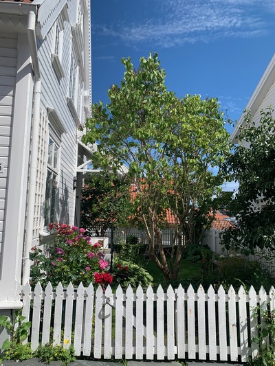 picture of Stavanger
 Norway