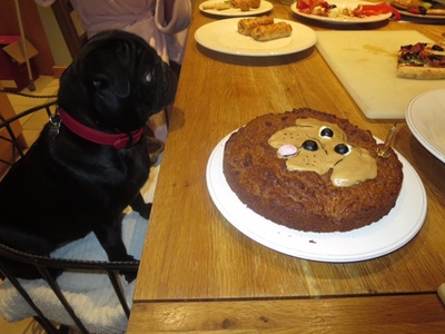 picture of First Birthday
 Oreo