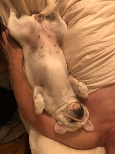 picture of Just Pepper !
 Pepper