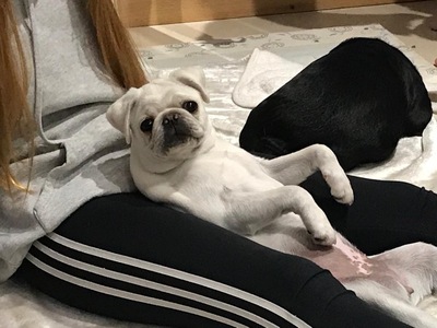 picture of Just Pepper !
 Pepper