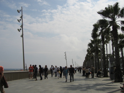 picture of Barcelona 2006
 Spain